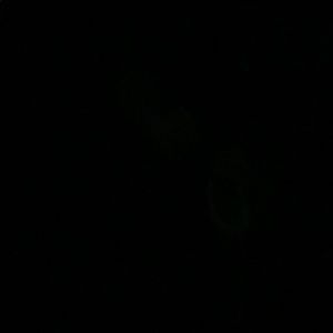 Meet your Posher, Joyce